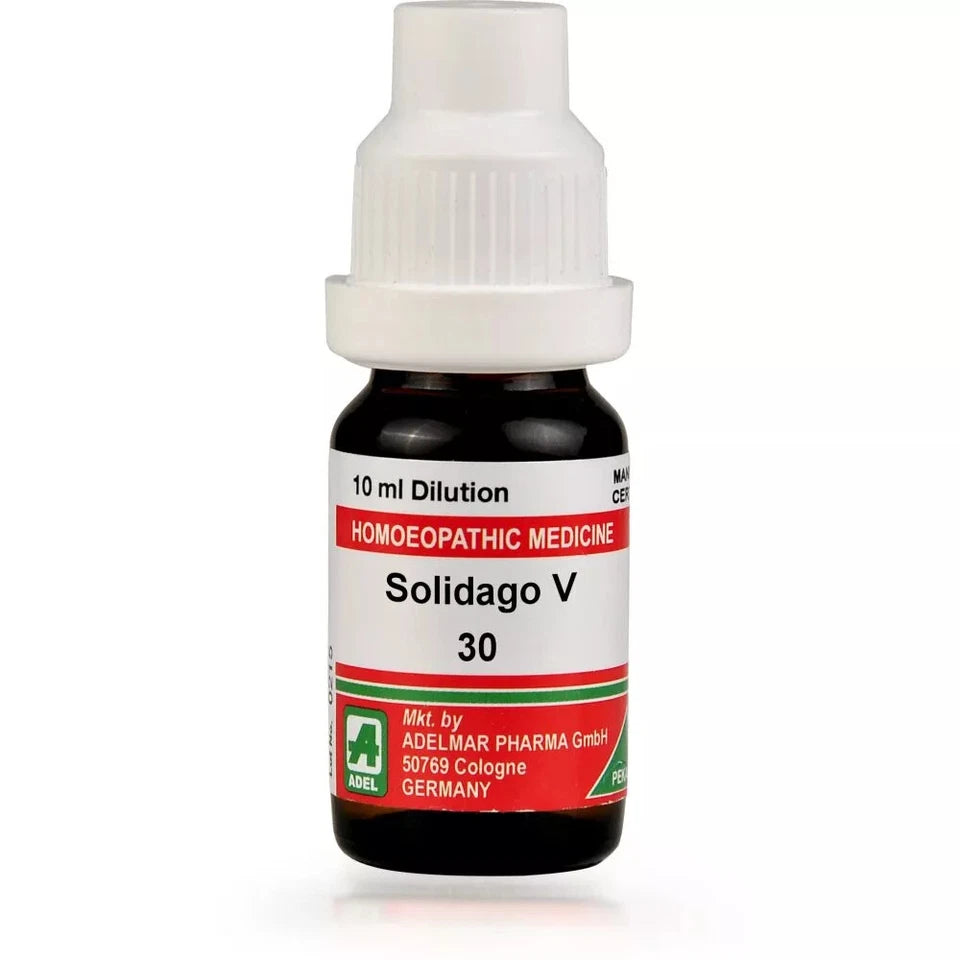 Adel Solidago V 30 Ch