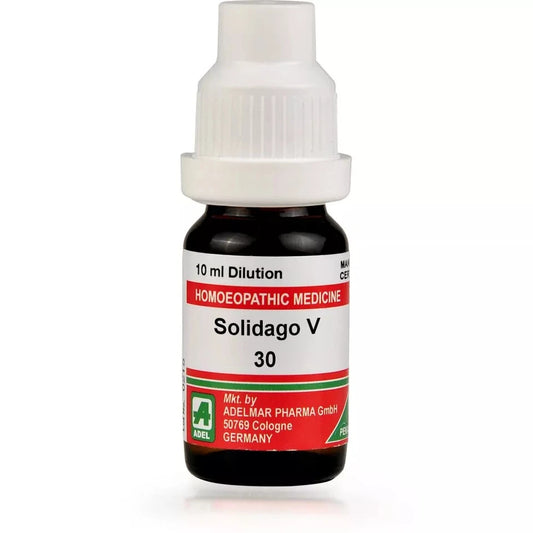 Adel Solidago V 30 Ch