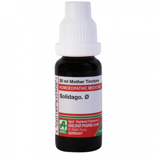 Adel Solidago Q