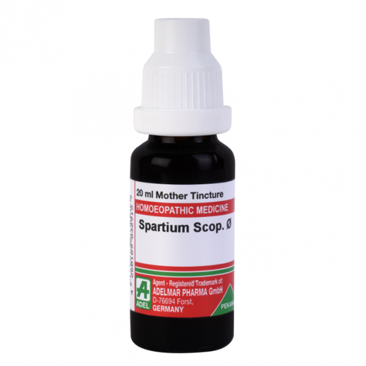 Adel Pekana Spartium Scoparium 1X Q