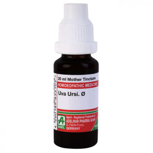 Adel Uva Ursi