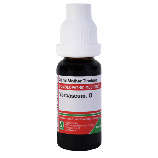 Adel Pekana Verbascum 1X Q
