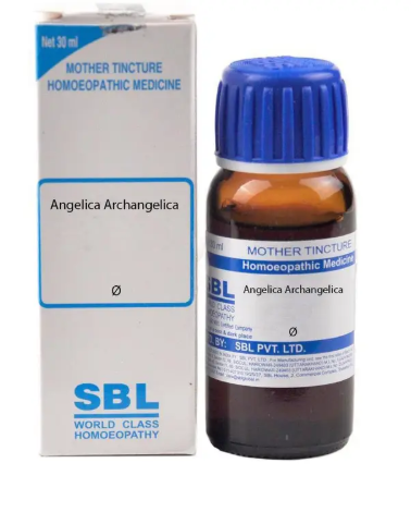 Sbl Angelica Archangelica Mother Tincture