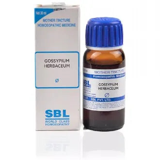Sbl Gossypium Herbaceum