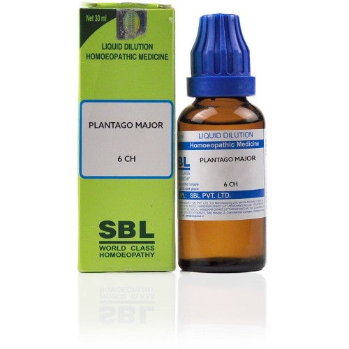 Sbl Plantago Major Dilution 6 Ch