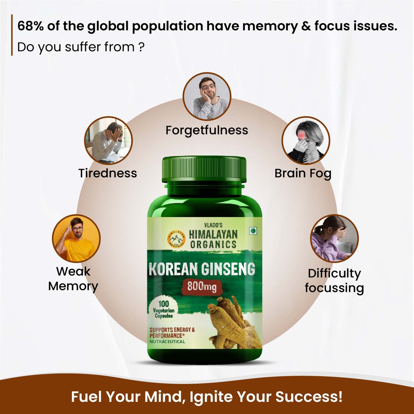 Himalayan Organics Korean Red Ginseng 800mg | Energy & Immunity
