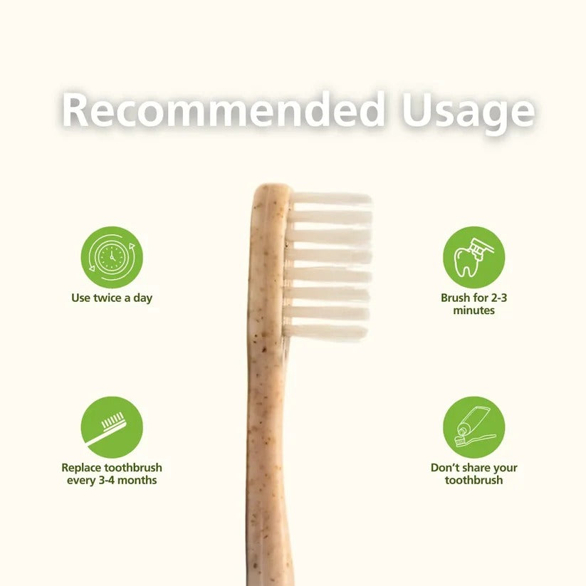 Daito Tooth Brush Y Husk Eco Fresh