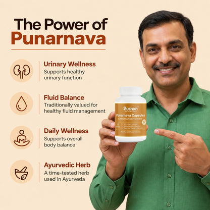 Sushain Punarnava Extract Capsules For Uti Kidney And Liver Care
