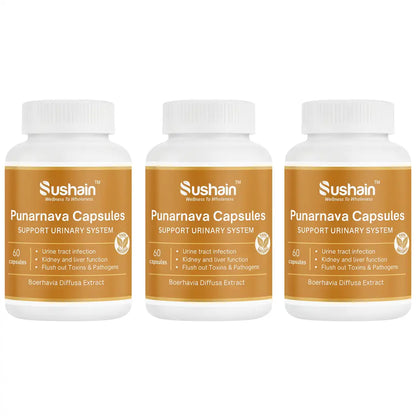 Sushain Punarnava Extract Capsules For Uti Kidney And Liver Care