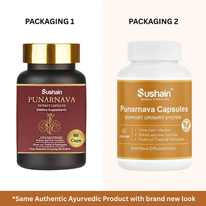 Sushain Punarnava Extract Capsules For Uti Kidney And Liver Care