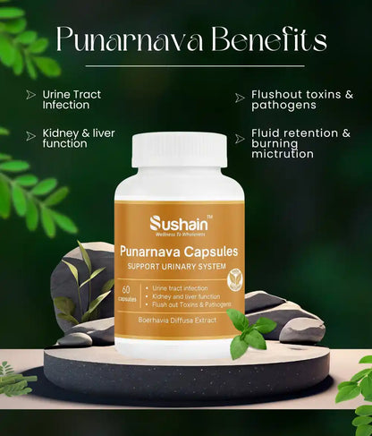 Sushain Punarnava Extract Capsules For Uti Kidney And Liver Care