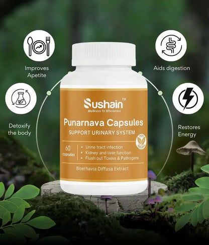 Sushain Punarnava Extract Capsules For Uti Kidney And Liver Care