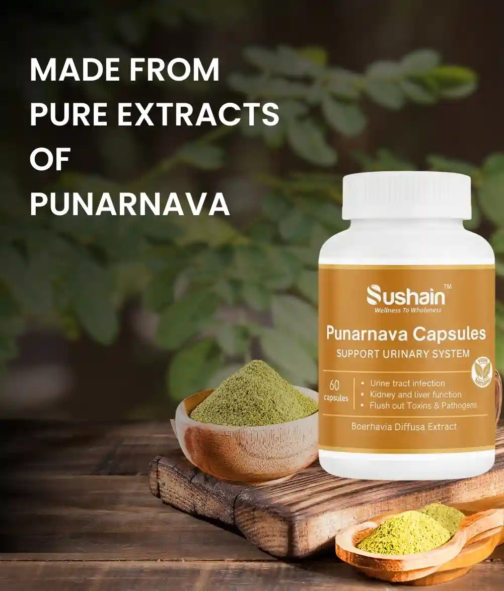 Sushain Punarnava Extract Capsules For Uti Kidney And Liver Care
