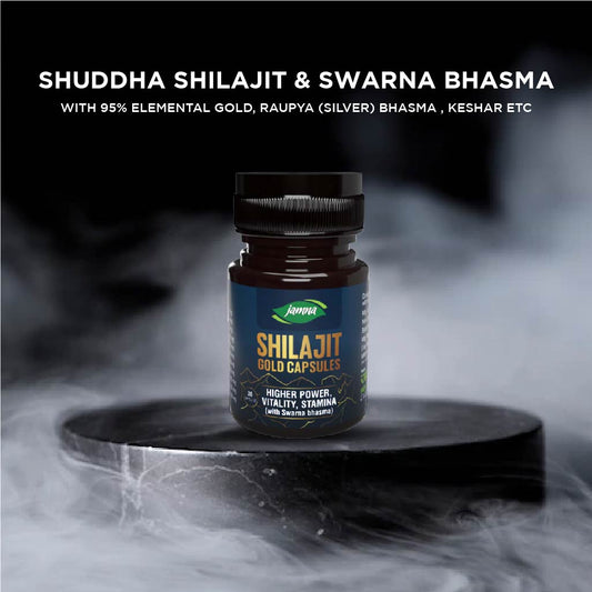 Jamna Shilajit Gold Capsule