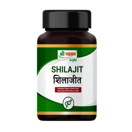Shri Chyawan Shilajit Capsule