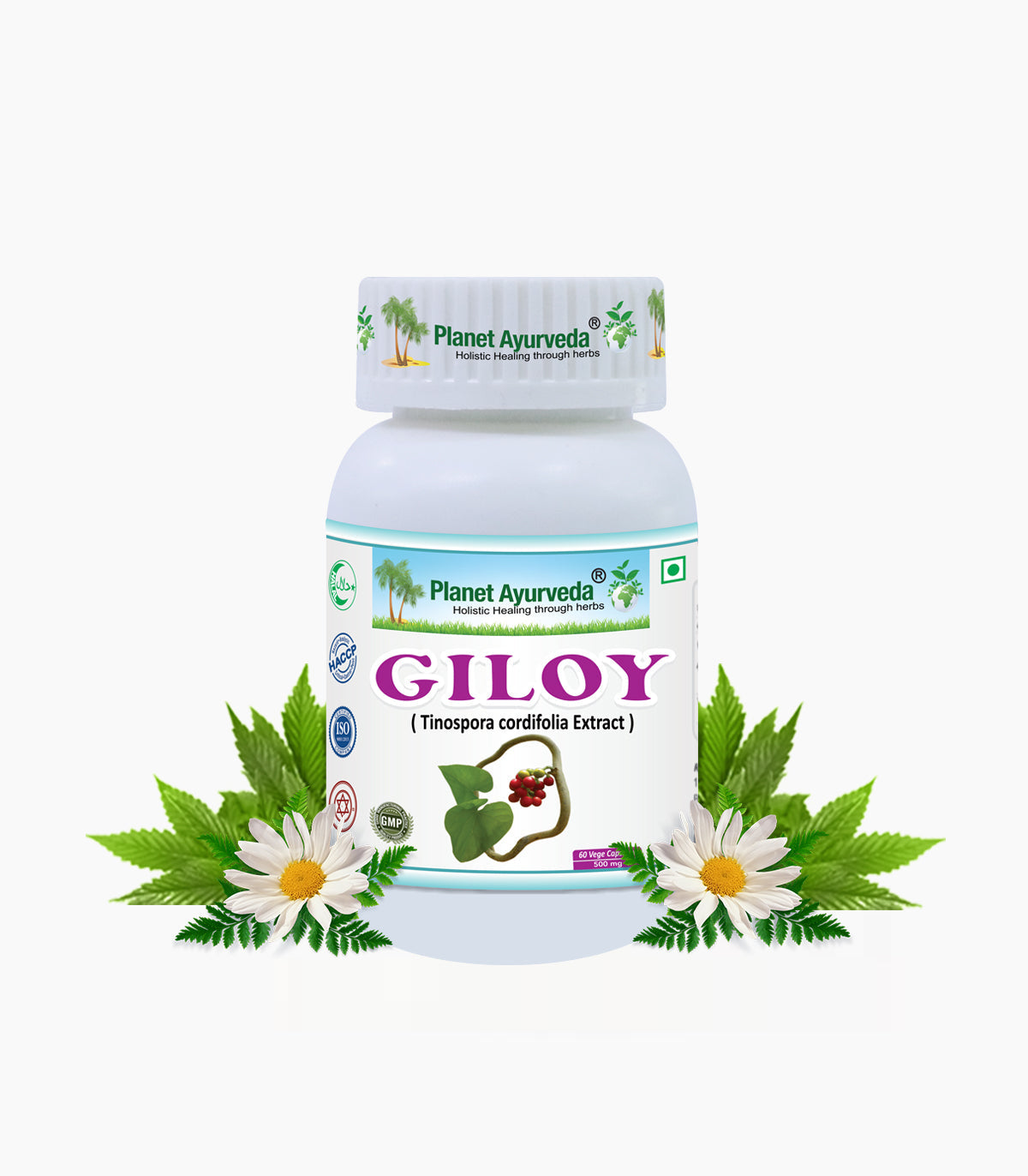Planet Ayurveda Giloy Capsules